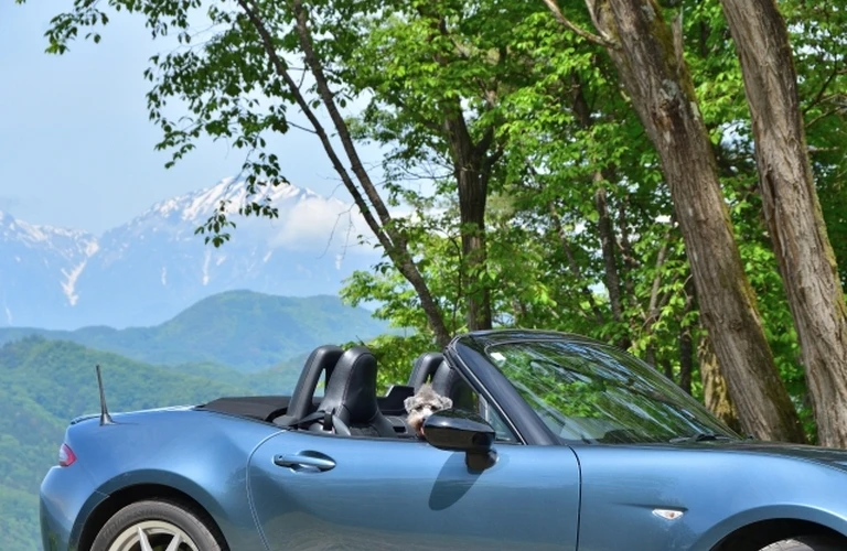 誰でも車がローンで購入できる｜カーマッチ岡山赤磐店
